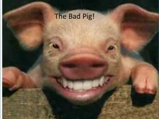 The Bad Pig!
