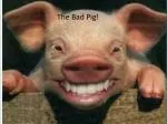 The Bad Pig! - slide 1