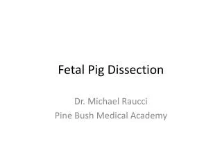 Fetal Pig Dissection