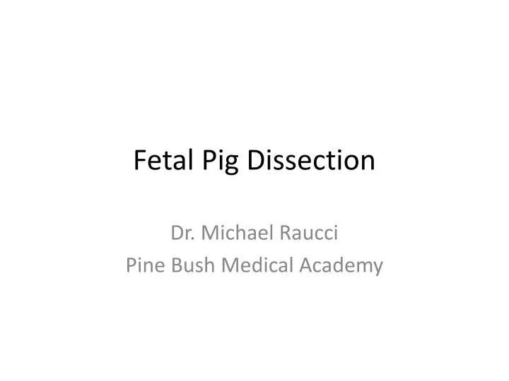 fetal pig dissection