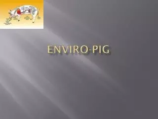 Enviro-Pig
