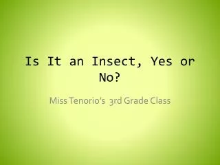 Is It an Insect, Yes or No?