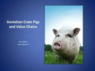 Gestation Crate P igs and Value Chains