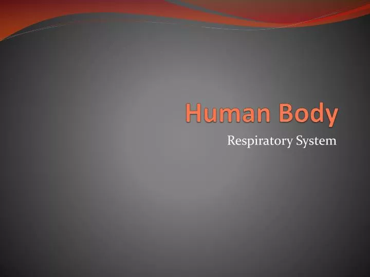 human body