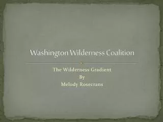 Washington Wilderness Coalition