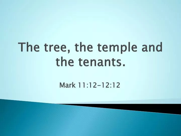 the tree the temple and the tenants
