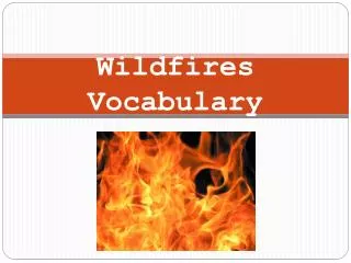 Wildfires Vocabulary