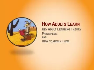 How Adults Learn Key Adult Learning Theory Principles AND How to Apply Them
