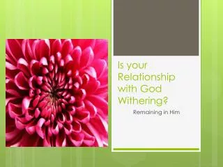 Is your Relationship with God Withering?