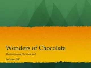 Wonders of Chocolate