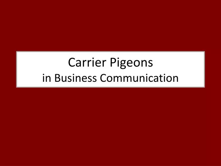 carrier pigeons in business communication