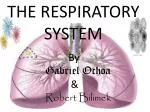 THE RESPIRATORY SYSTEM - slide 1