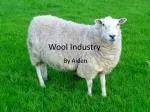 Wool Industry - slide 1