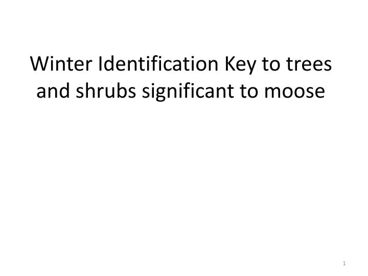 winter identification key to trees and shrubs significant to moose