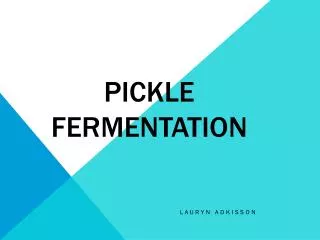 Pickle Fermentation
