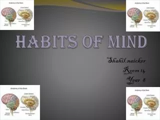 Habits of mind