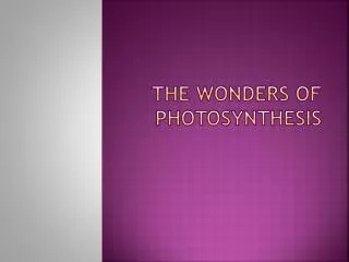 the wonders of photosynthesis