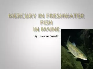 Mercury in Freshwater Fish In Maine