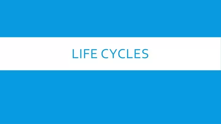 life cycles
