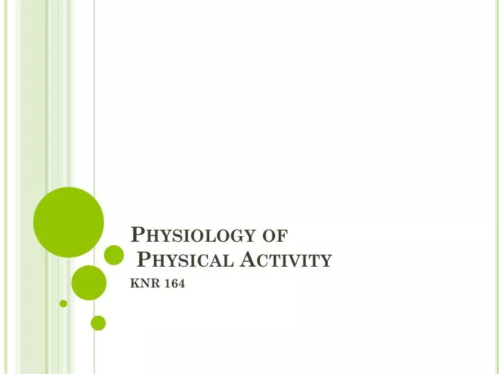physiology of physical activity
