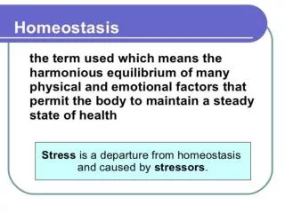 Physiology of Stress: 	I. Nervous System 		a. CNS (central nervous system)