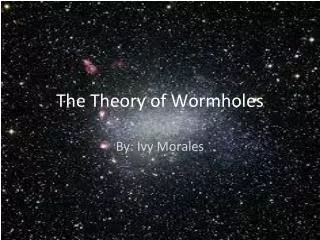 The Theory of Wormholes