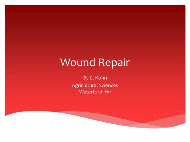 wound repair