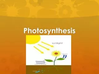 Photosynthesis