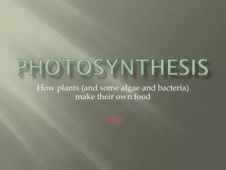 photosynthesis