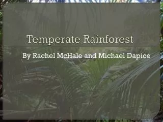 Temperate Rainforest