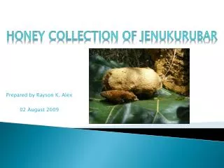 Honey Collection of Jenukurubar
