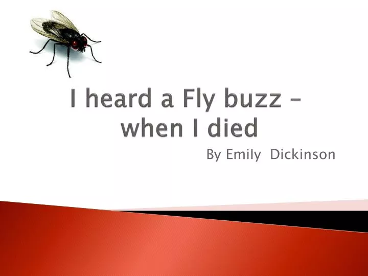 i heard a fly buzz when i died