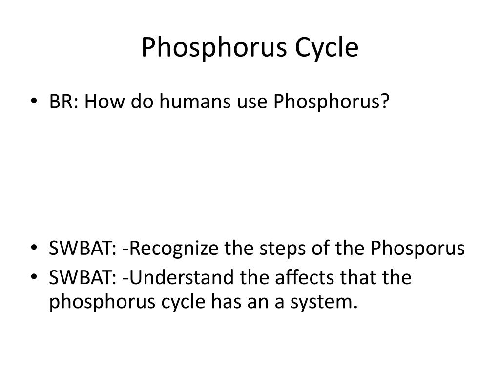 PPT - Phosphorus Cycle PowerPoint Presentation, free download - ID:2621632