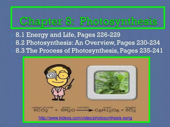 chapter 8 photosynthesis