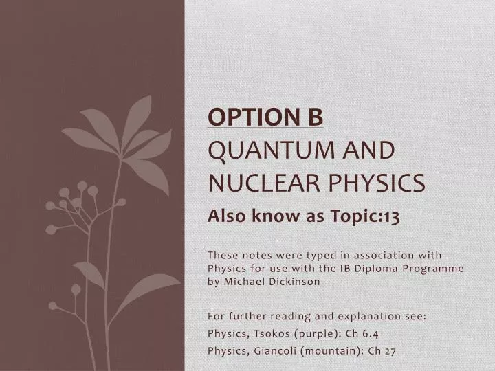 option b quantum and nuclear physics