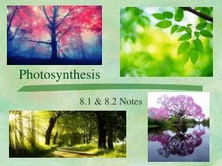 Photosynthesis