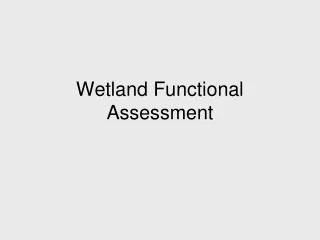 Wetland Functional Assessment