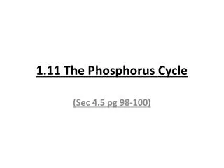 1.11 The Phosphorus Cycle