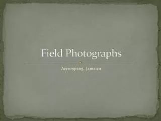 Field Photographs