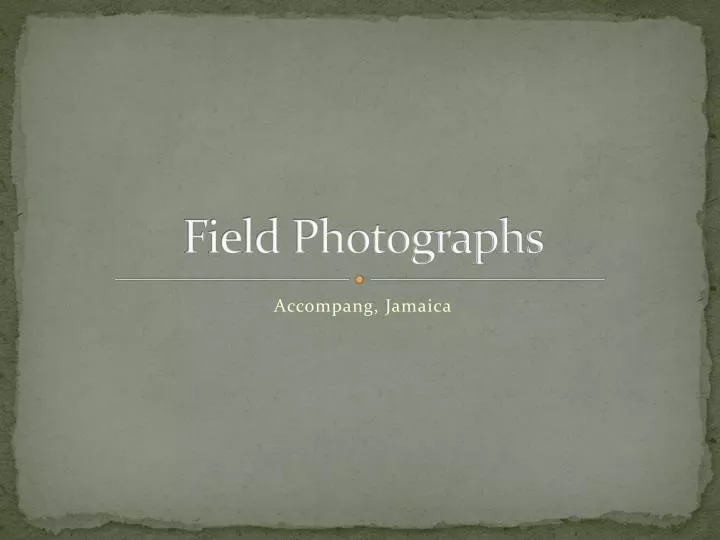 field photographs