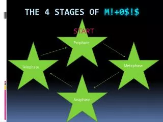 The 4 stages of m !+0$!$