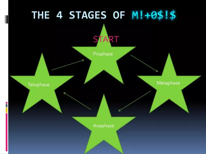 the 4 stages of m 0