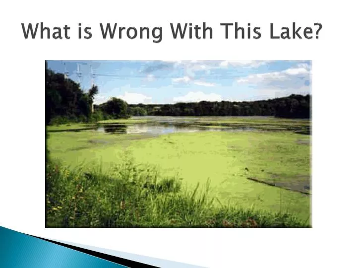 what is wrong with this lake