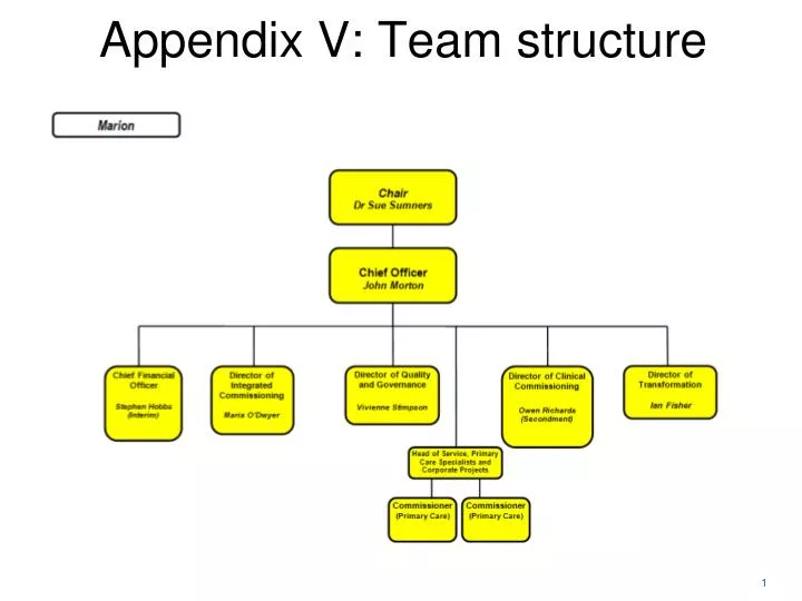 appendix v team structure