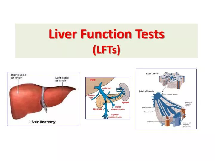 liver function tests lfts