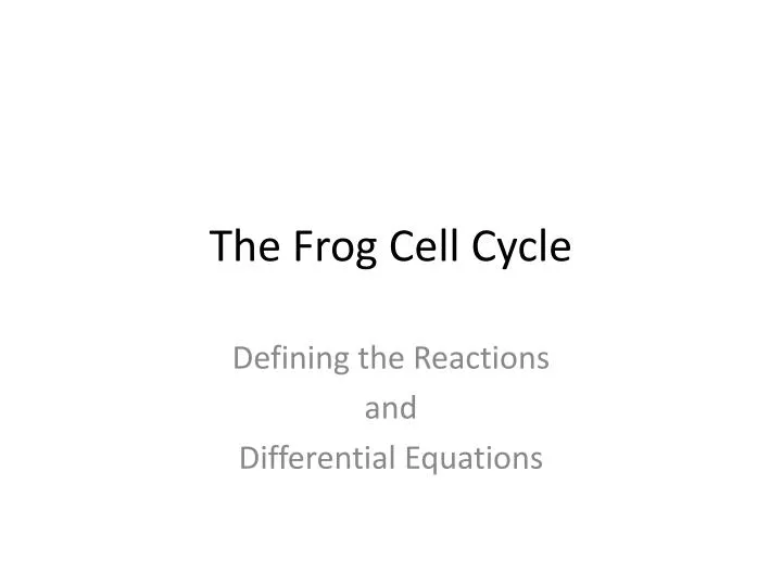 the frog cell cycle
