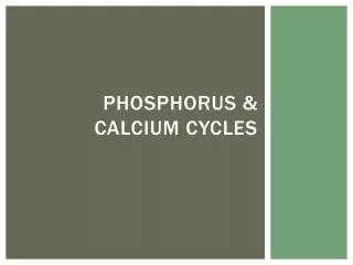 Phosphorus &amp; Calcium cycles