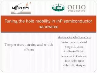 Tuning the hole mobility in InP semiconductor nanowires