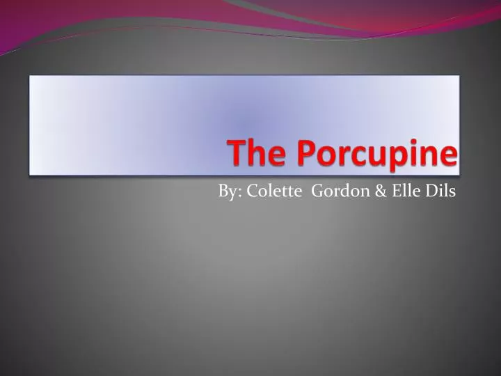 the porcupine
