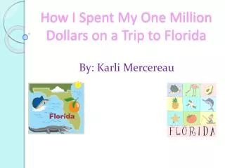 How I Spent My One Million Dollars on a Trip to Florida